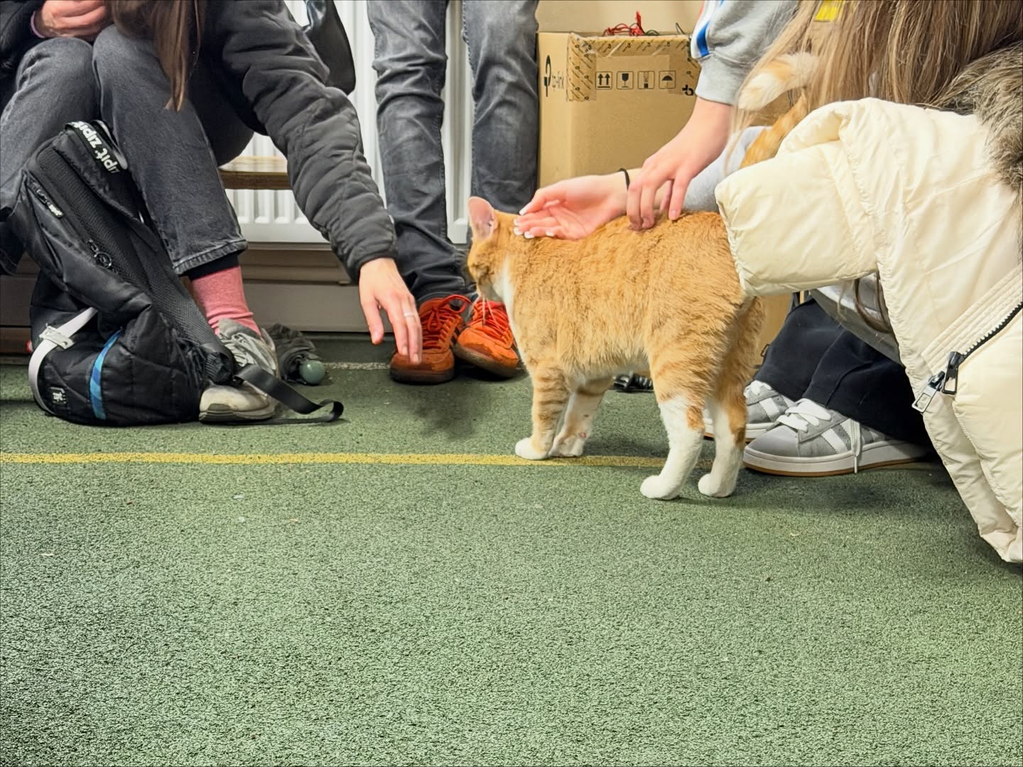 574418174_17880676053409875_1013769958856100055_n