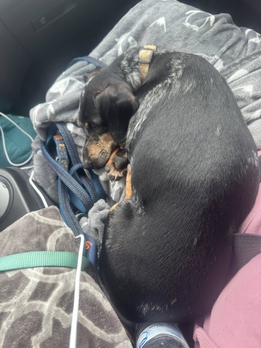 574576721_10163026950873557_1541645296936869202_n