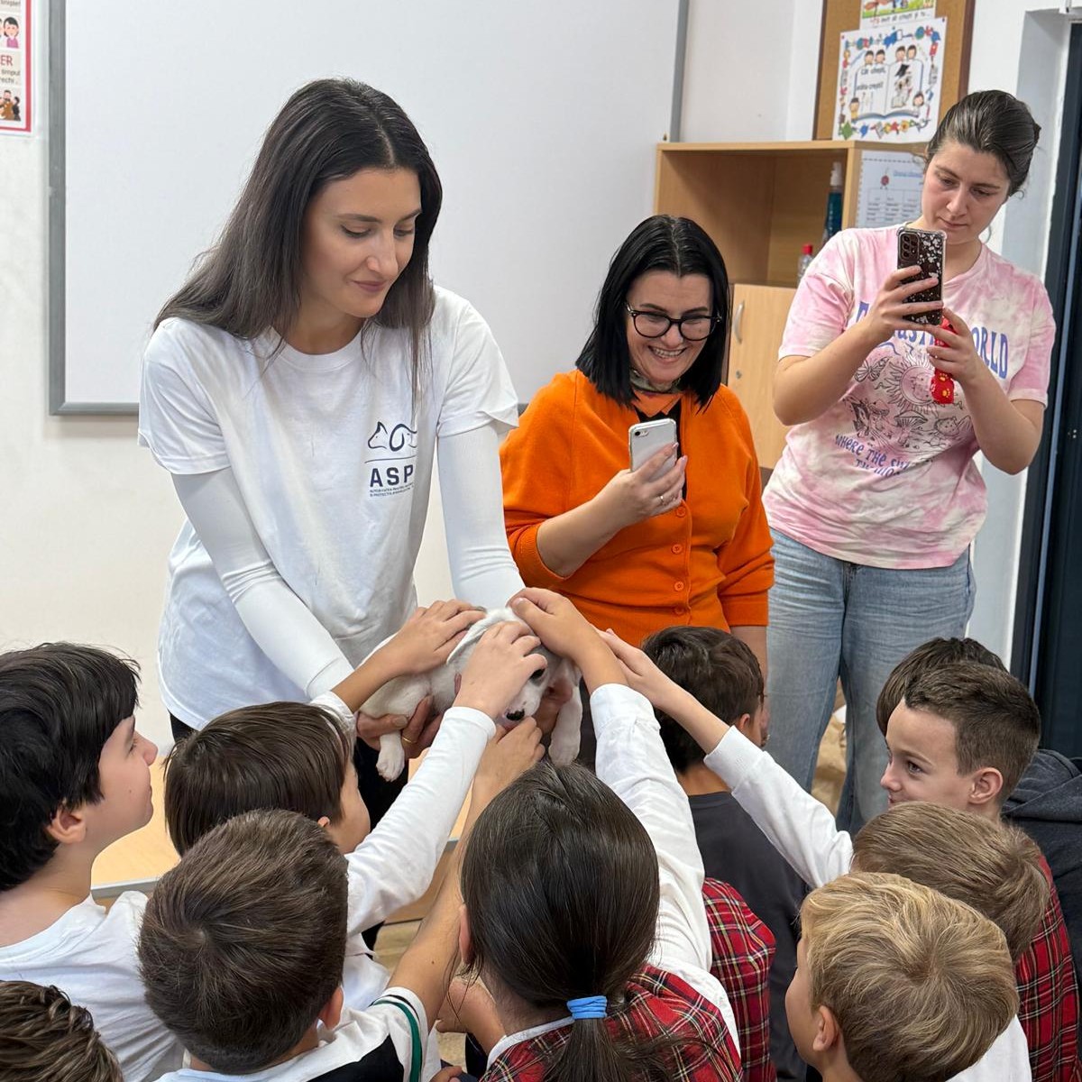 574852226_1174246848193784_1668525386850554526_n