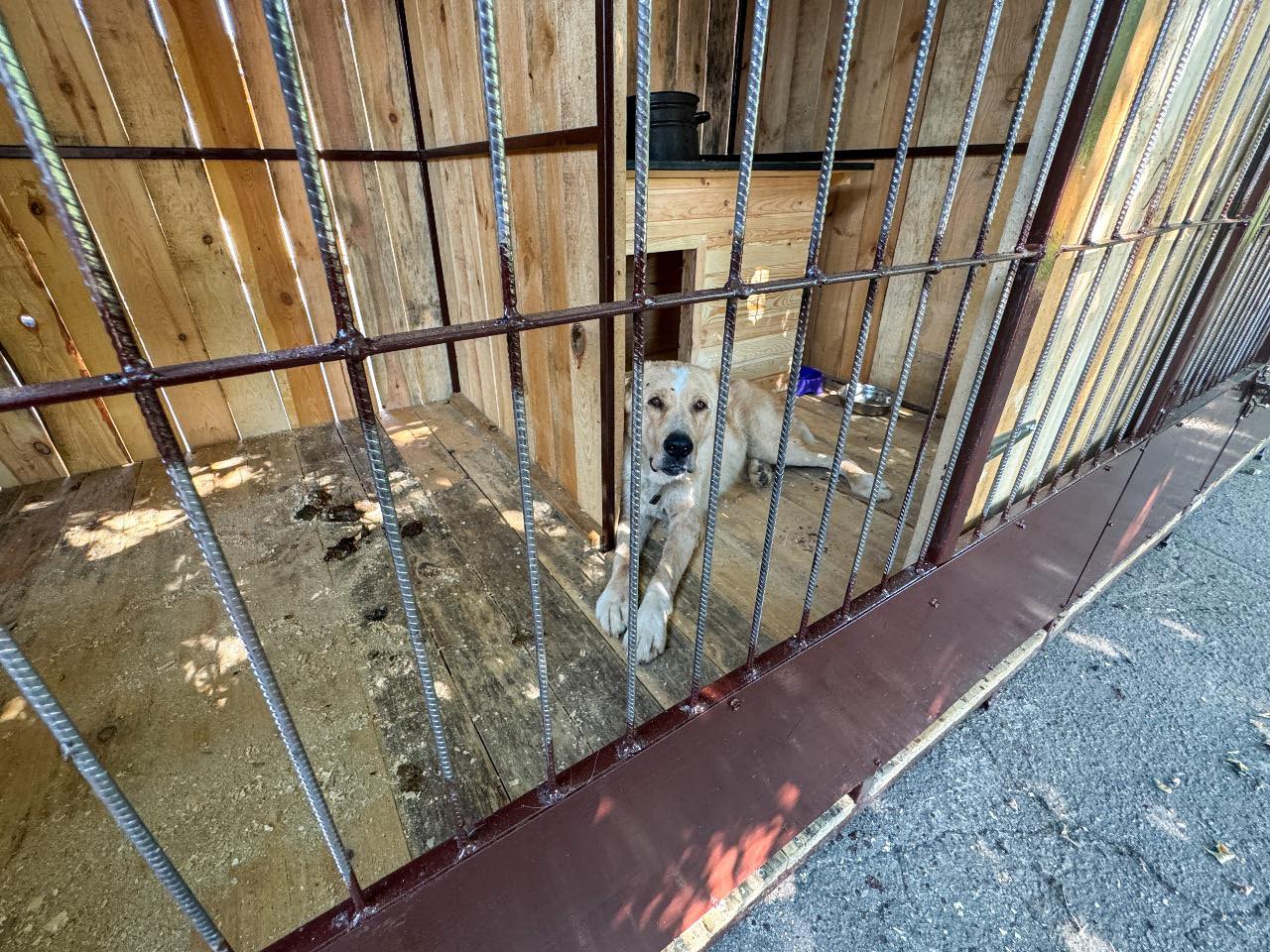 575173834_1264070532431481_7976772577787590061_n