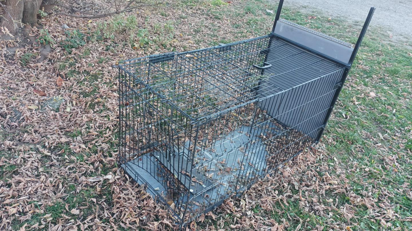 575180127_122182729580550808_678429090801798971_n