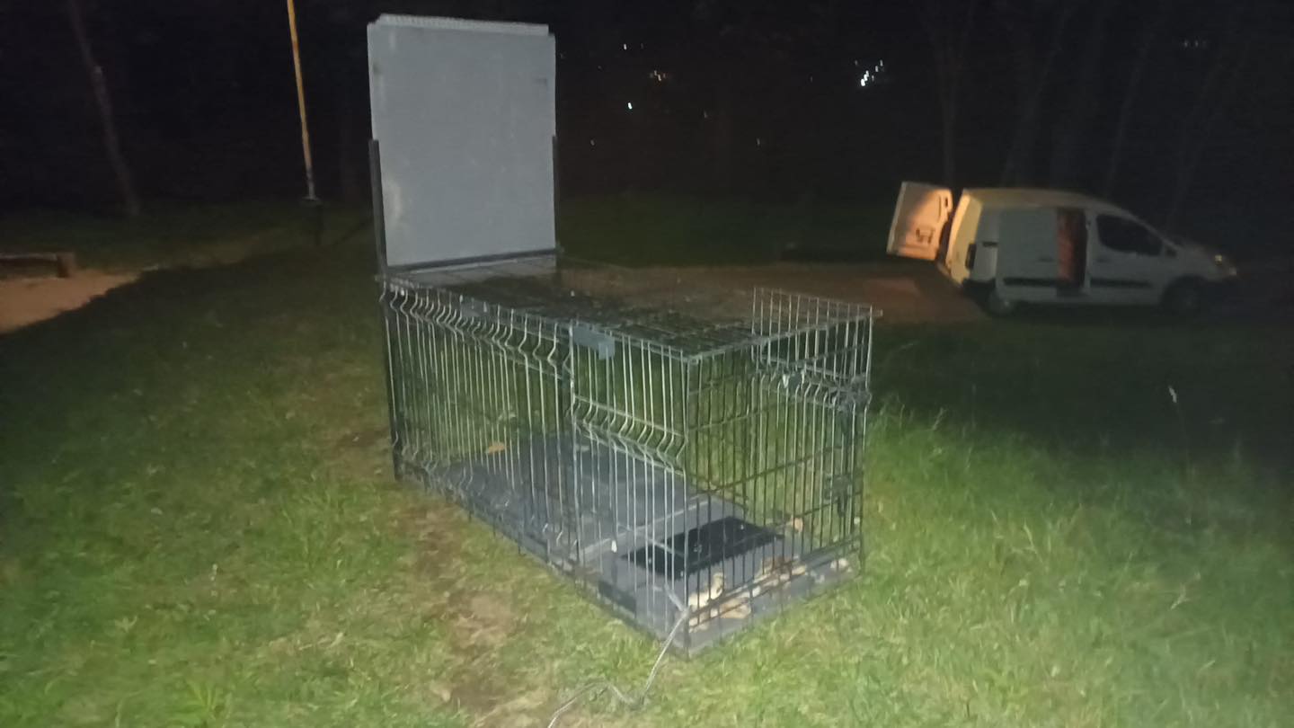 575191719_122182729382550808_2555600290425639467_n