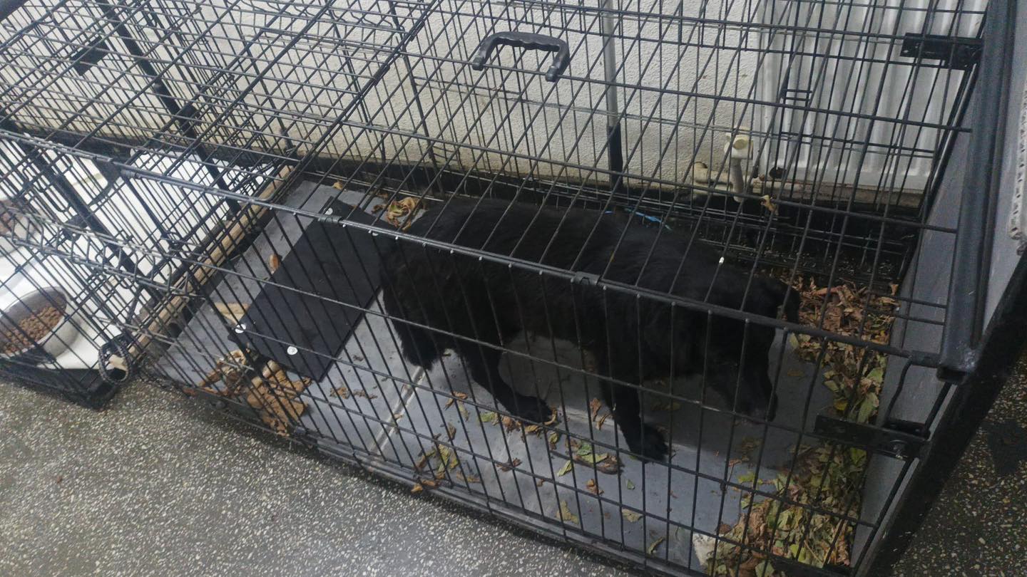 576143706_122182729424550808_7130652007637534009_n