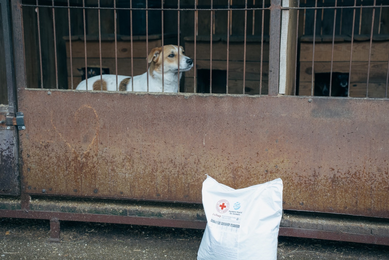 577047550_1264499345721933_761141580235107377_n