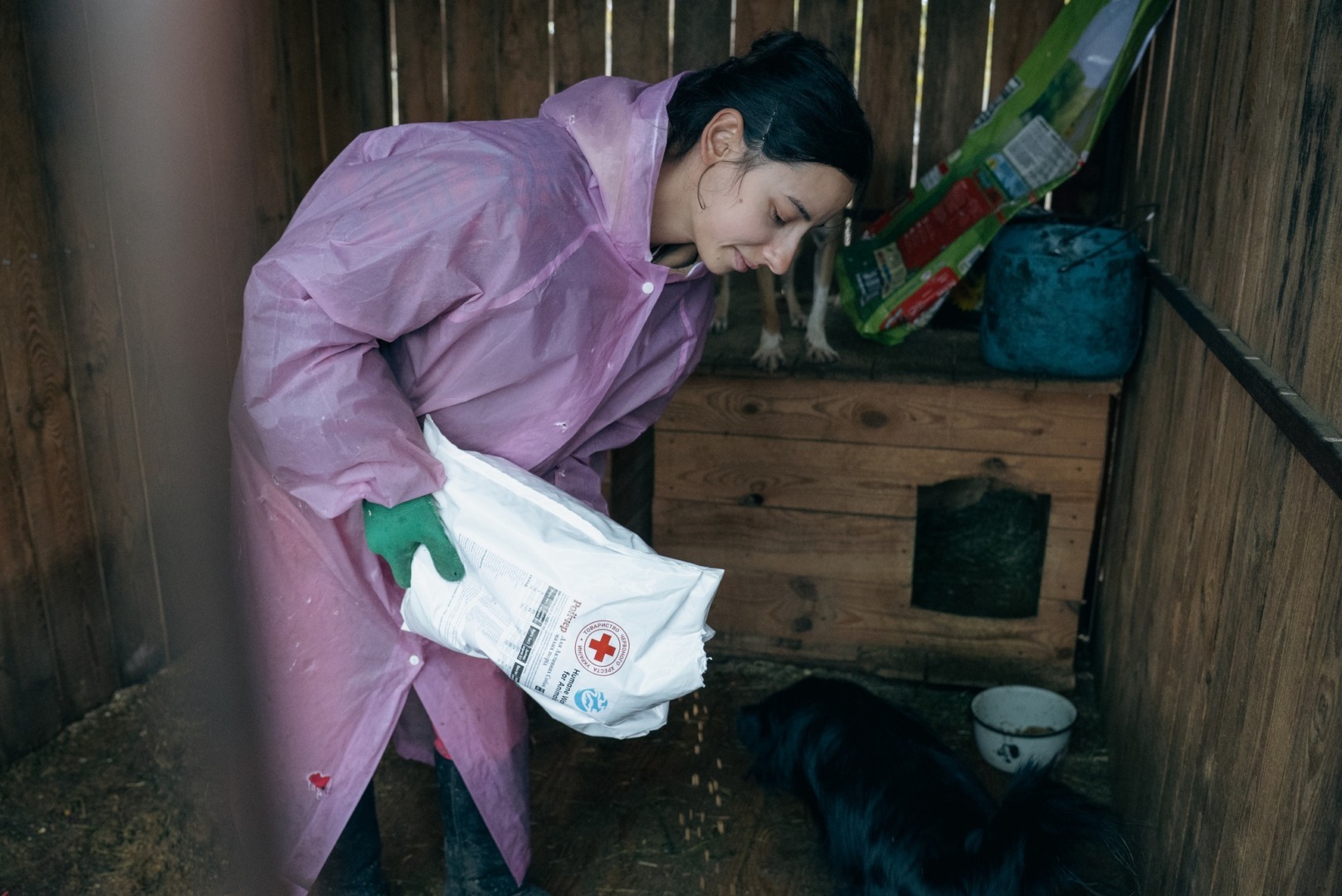 577103968_1264499369055264_8981021697939036069_n