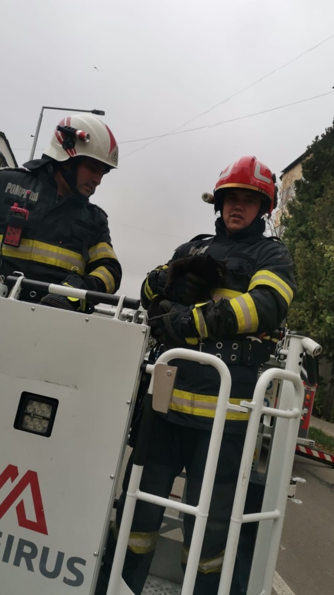 577536857_2596298617421029_5865197626782333308_n