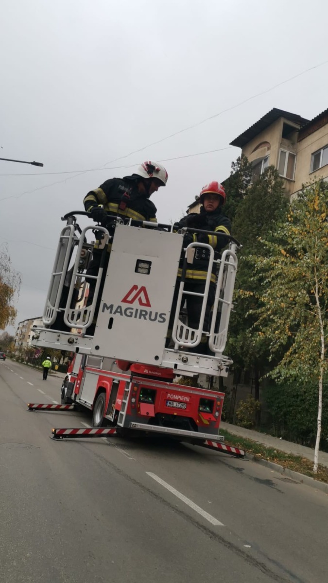 577626115_2596298647421026_1275414536691933897_n