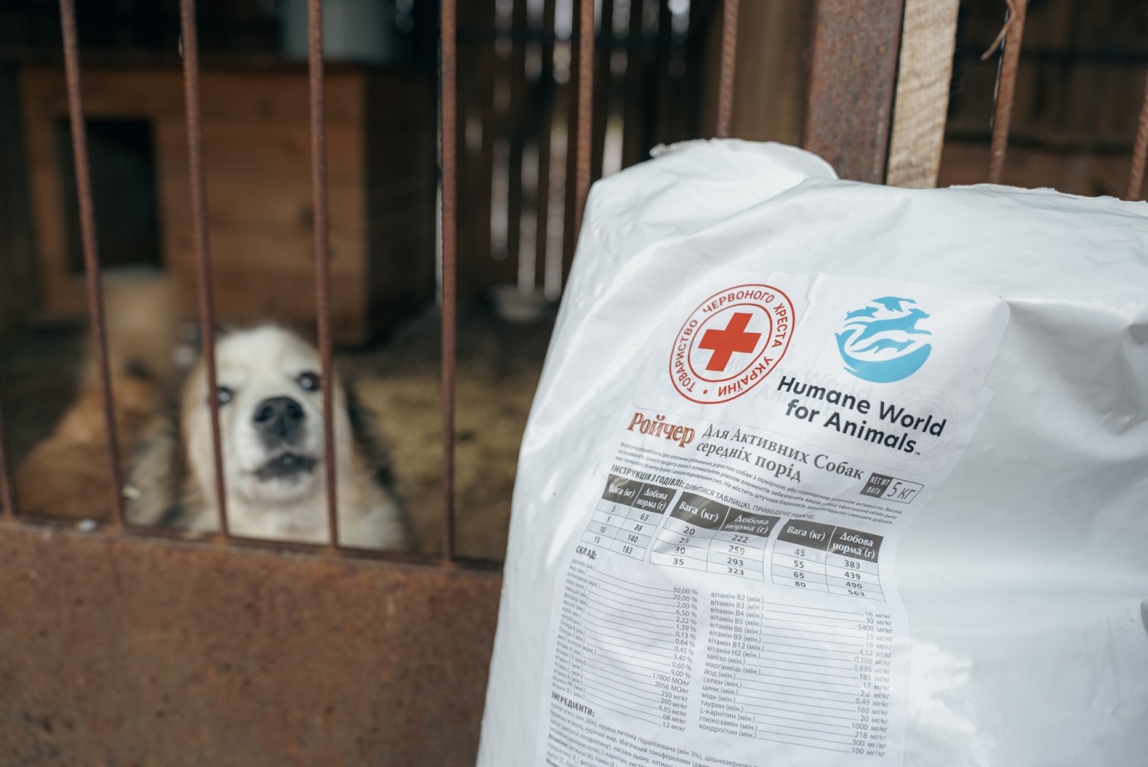 577779653_1264499289055272_2304700266555551204_n