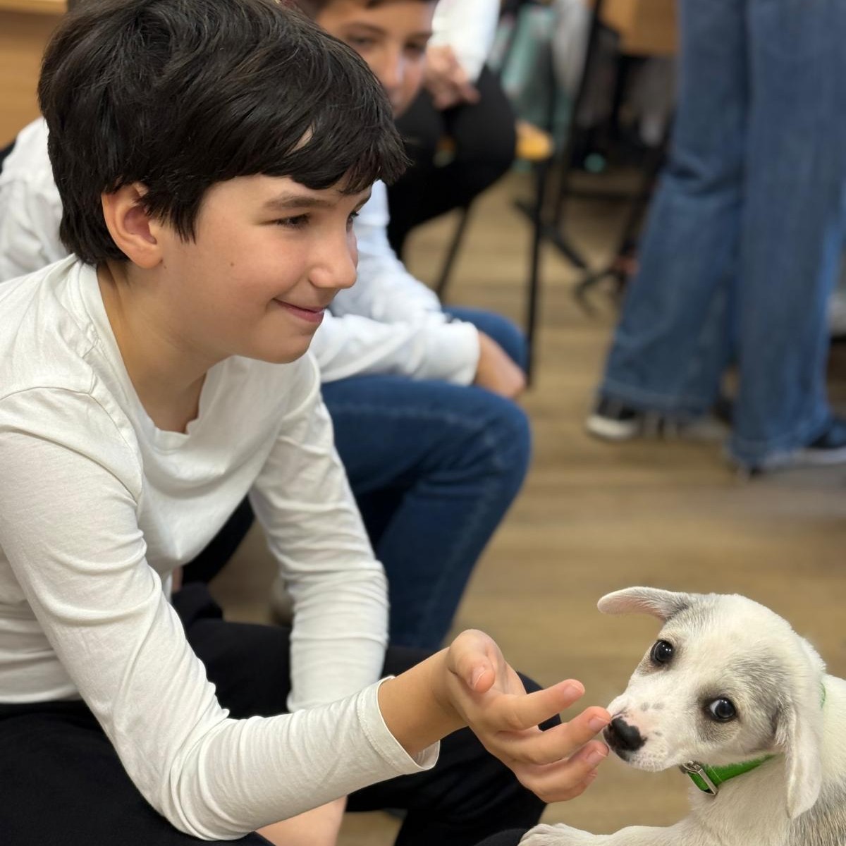 578436681_1174245878193881_5617002912585031468_n