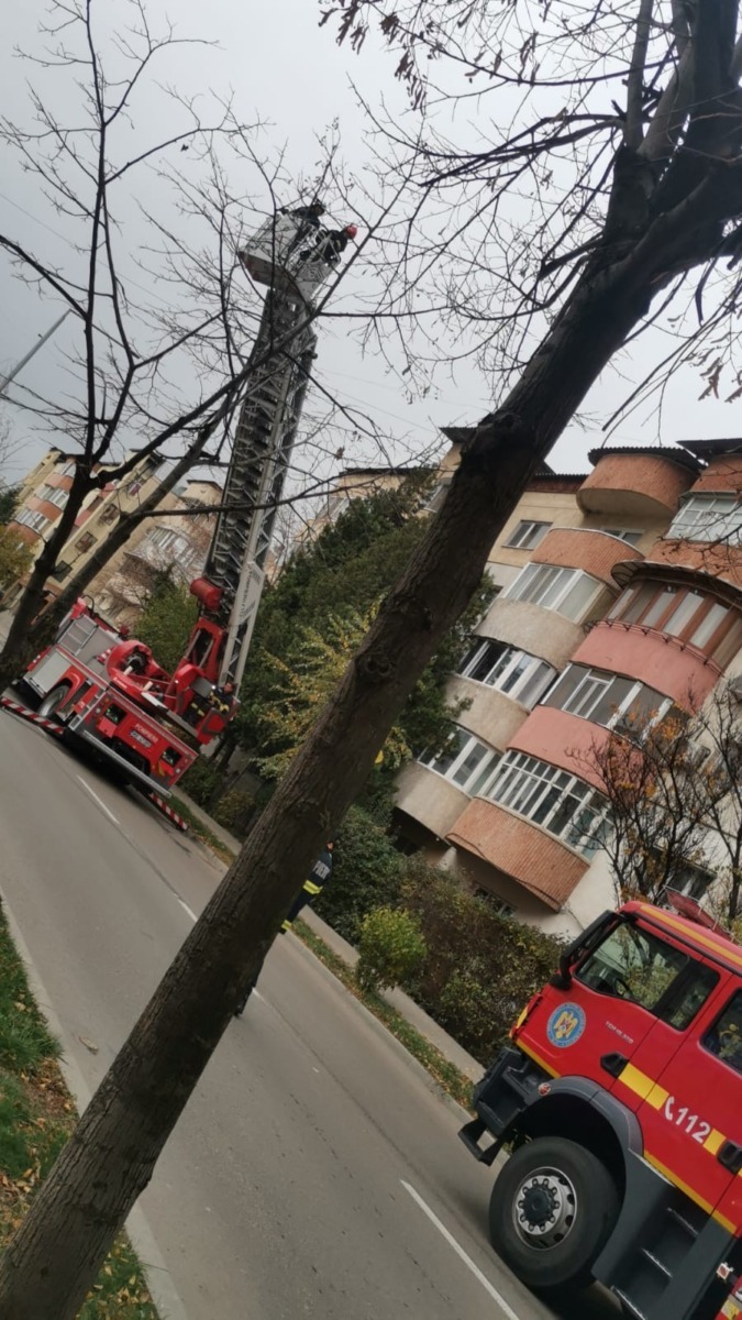 578996627_2596298694087688_6937099066186176304_n