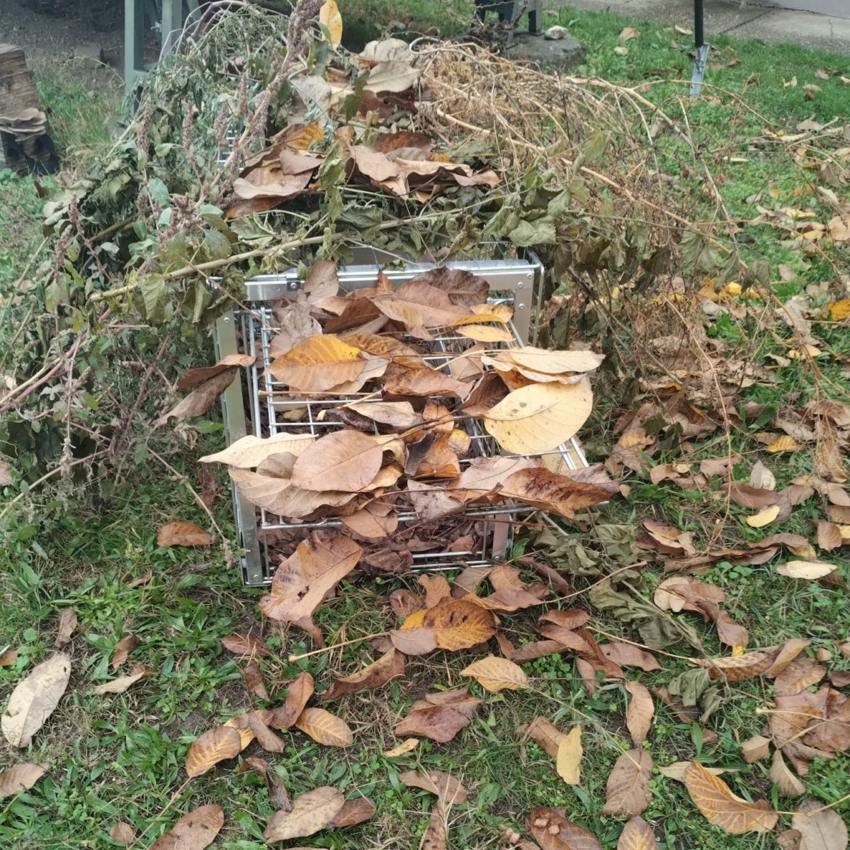 579202215_1178312734453862_8147342214971164820_n