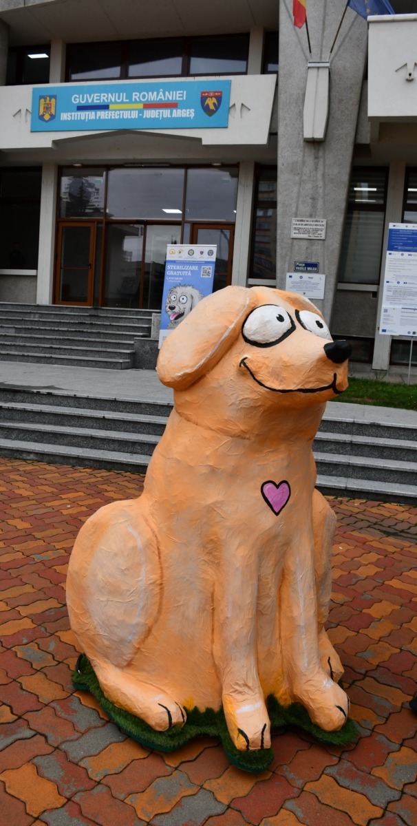 579235259_1297543665746624_8510325007199960699_n