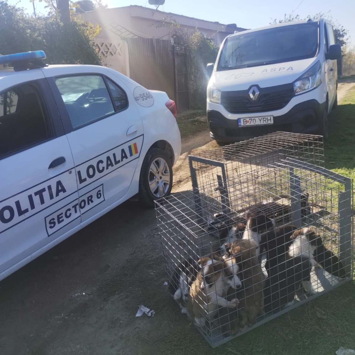 579653763_1178310534454082_583965238802820514_n