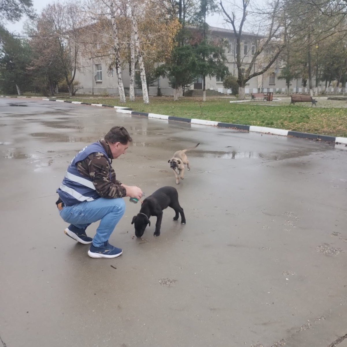 579964300_1178310107787458_6872740059037506097_n