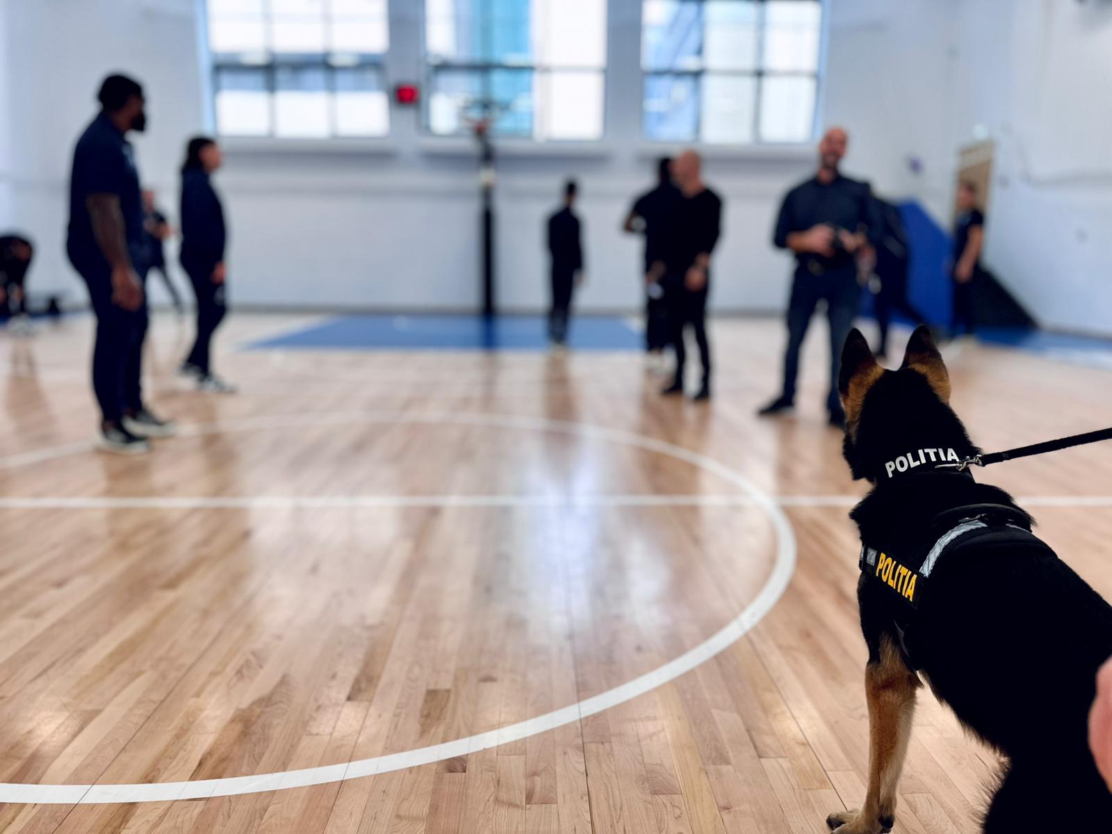 580123822_1170327268610849_3831383160589108183_n