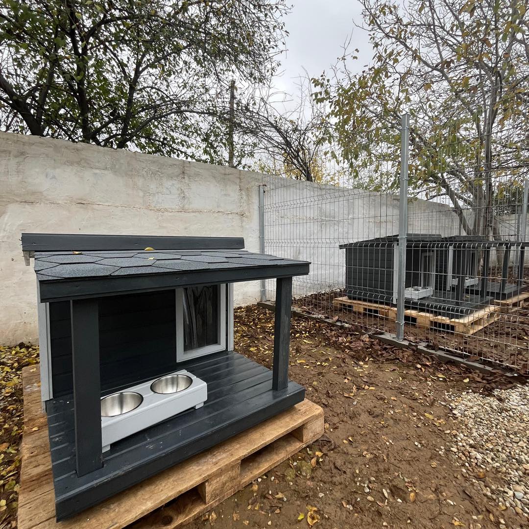 580305237_1180278430923959_8284167622489257906_n