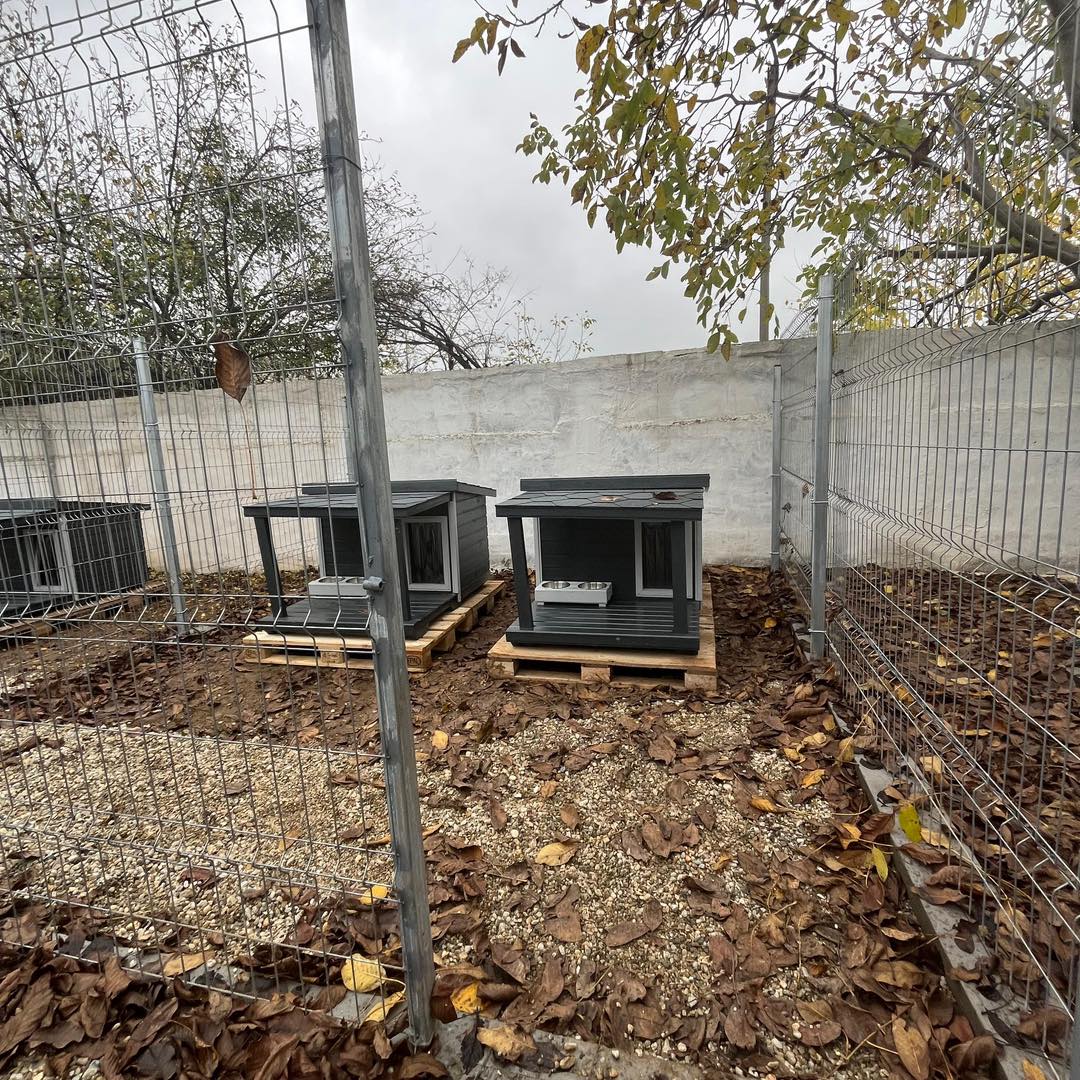 580522089_1180278507590618_7454851991312959841_n