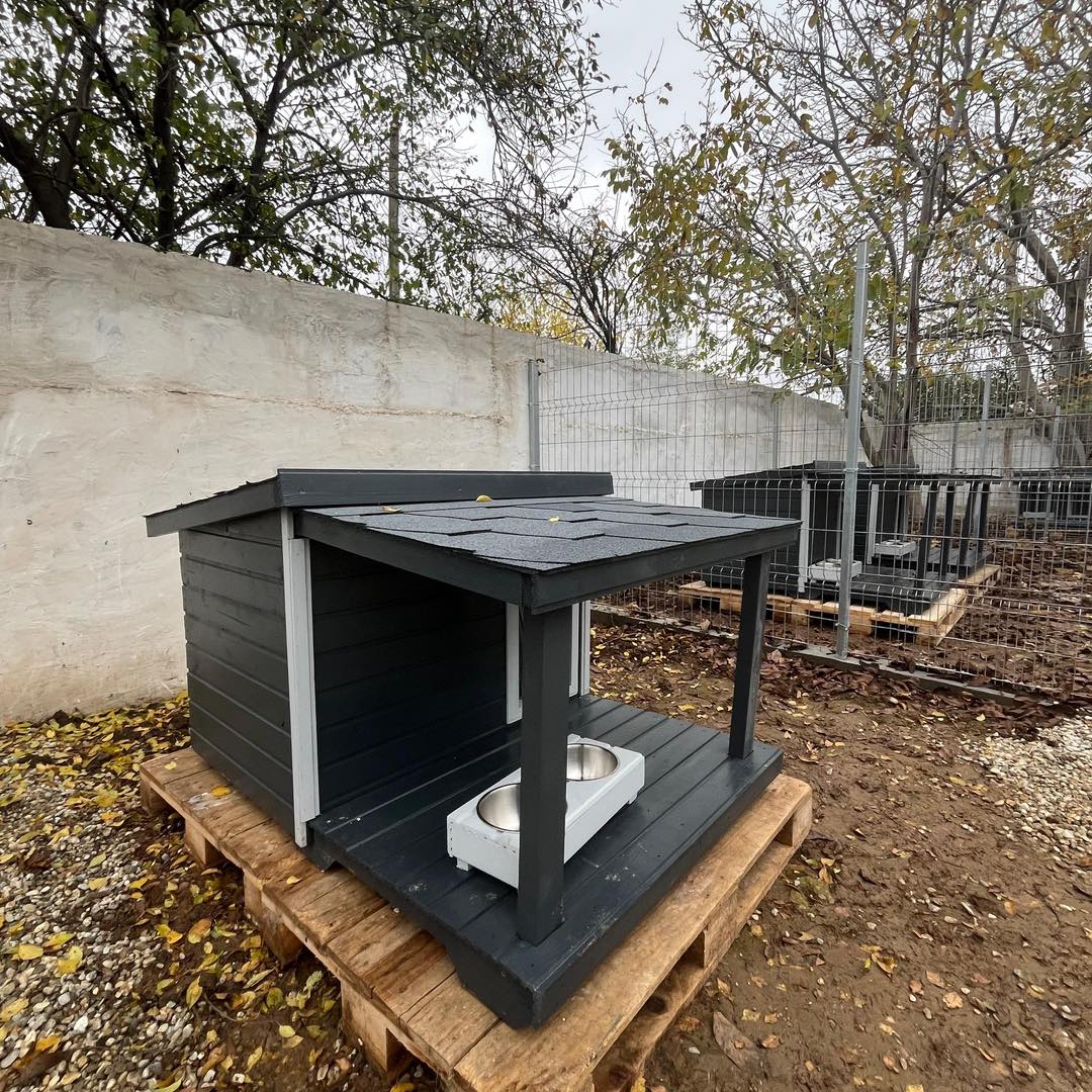 580799718_1180278380923964_3769477695673246103_n