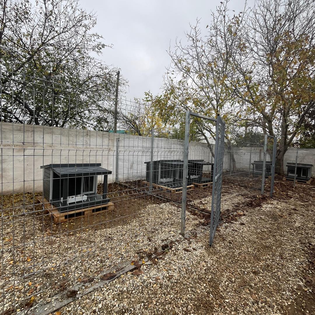 581033920_1180278494257286_3285298556258166766_n