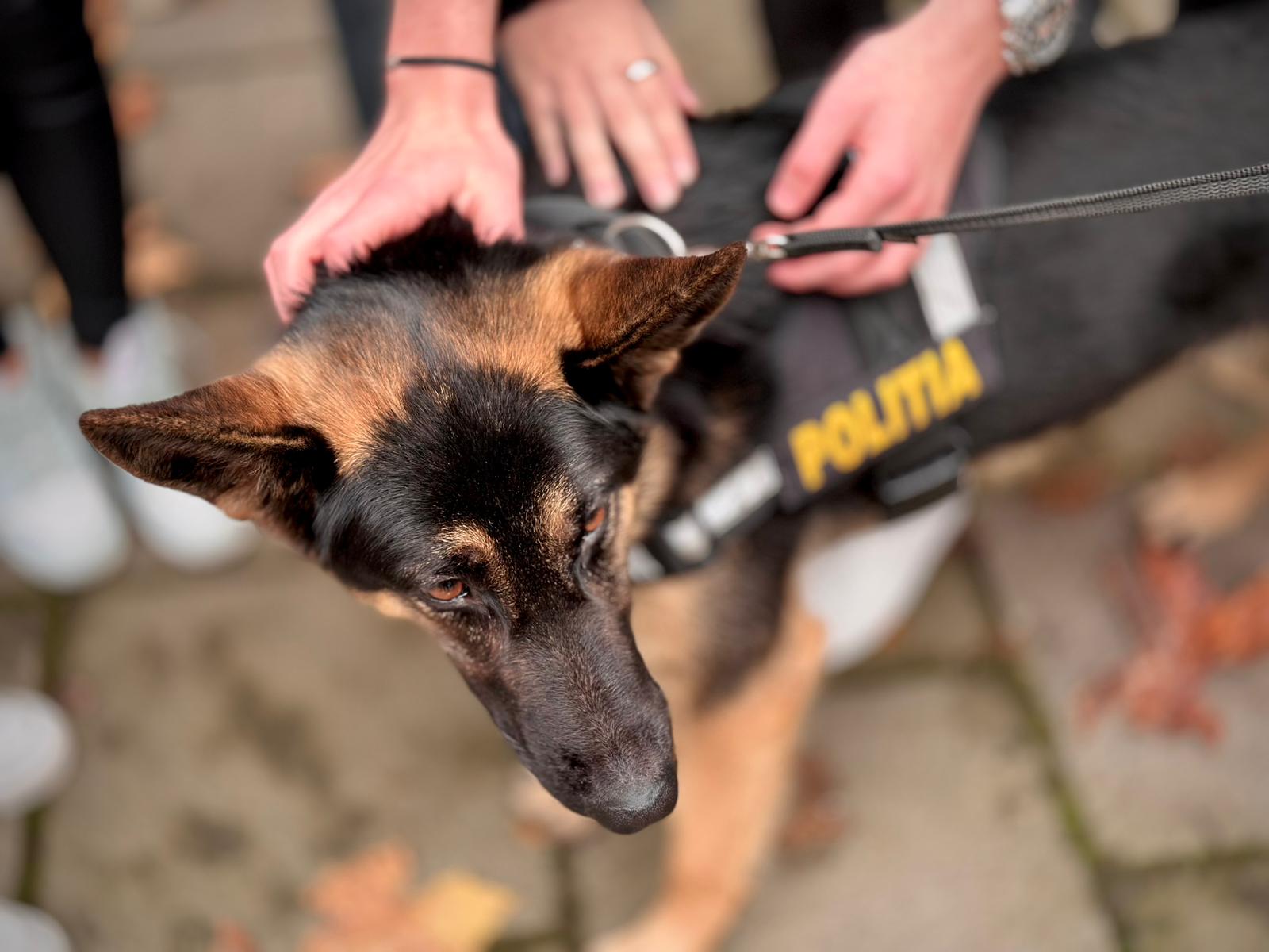 581153226_1170326758610900_6779202101547153905_n