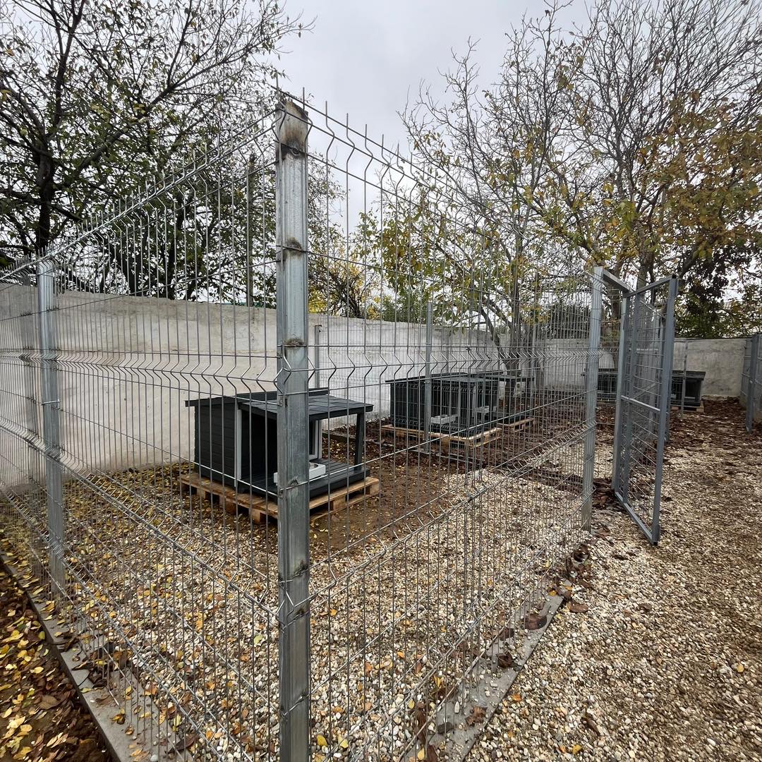 582011967_1180278567590612_5198016339802355231_n