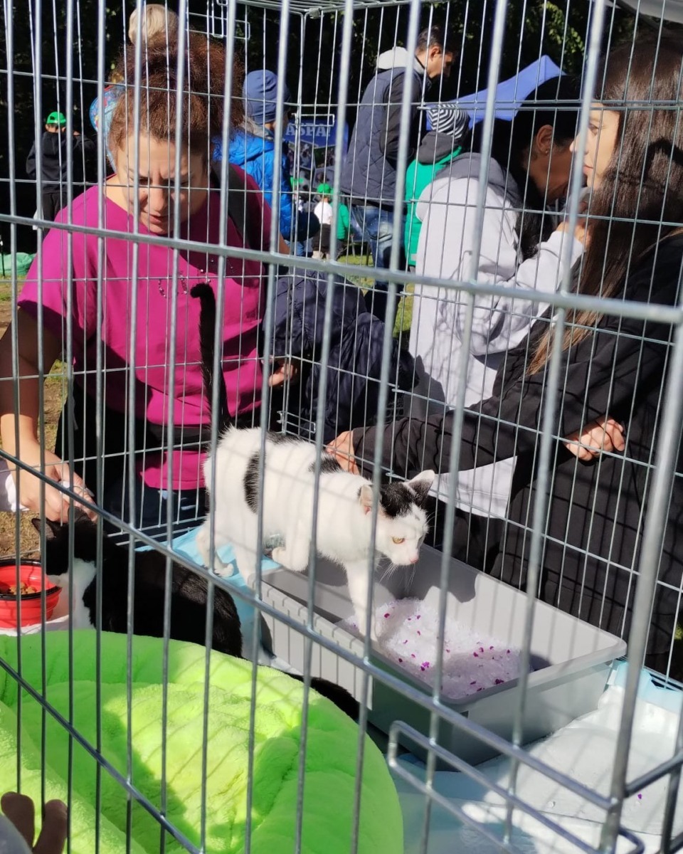 583420200_1183223383962797_7487439254456206505_n