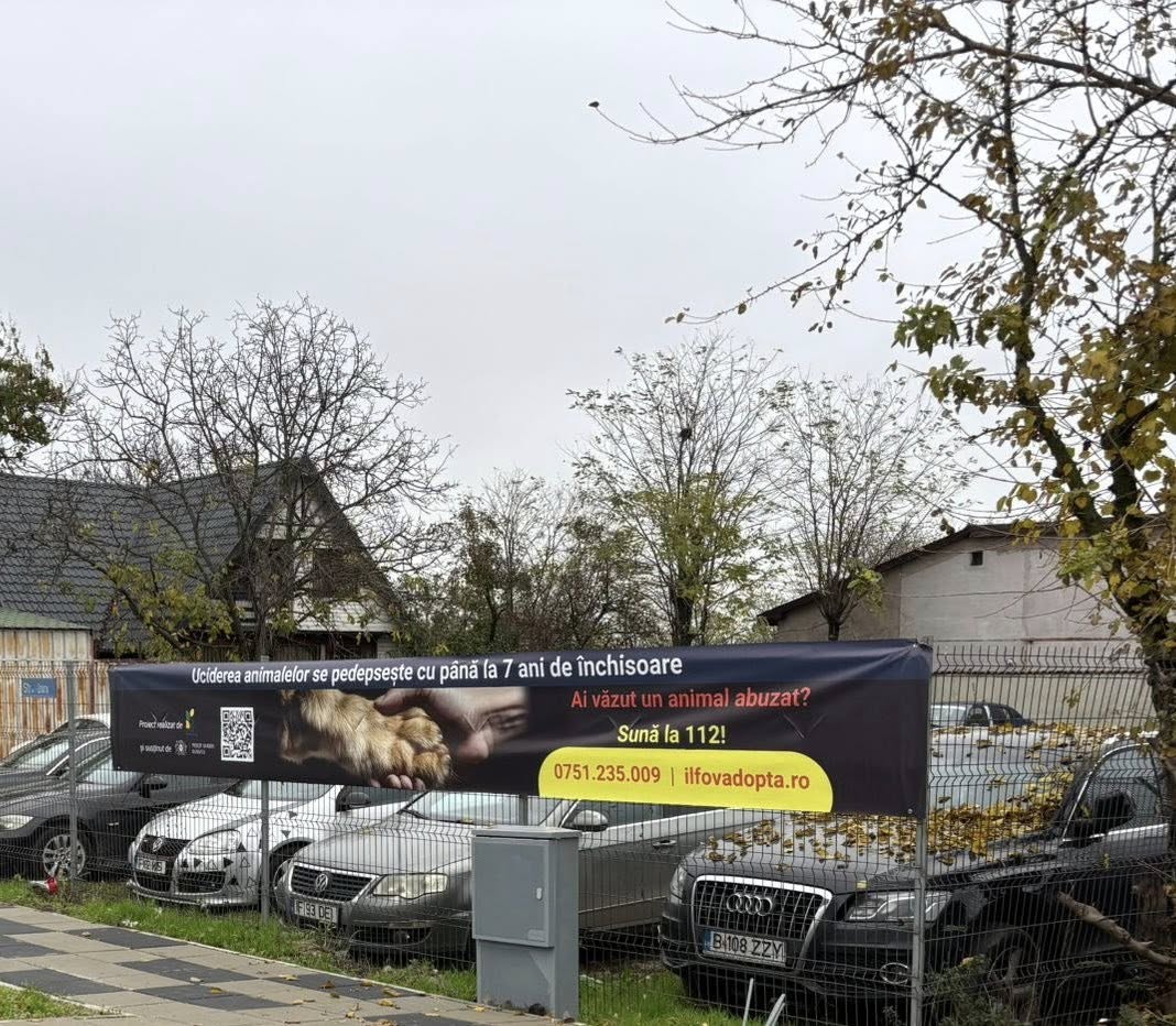 584275323_26020289910907780_2578649610026704806_n