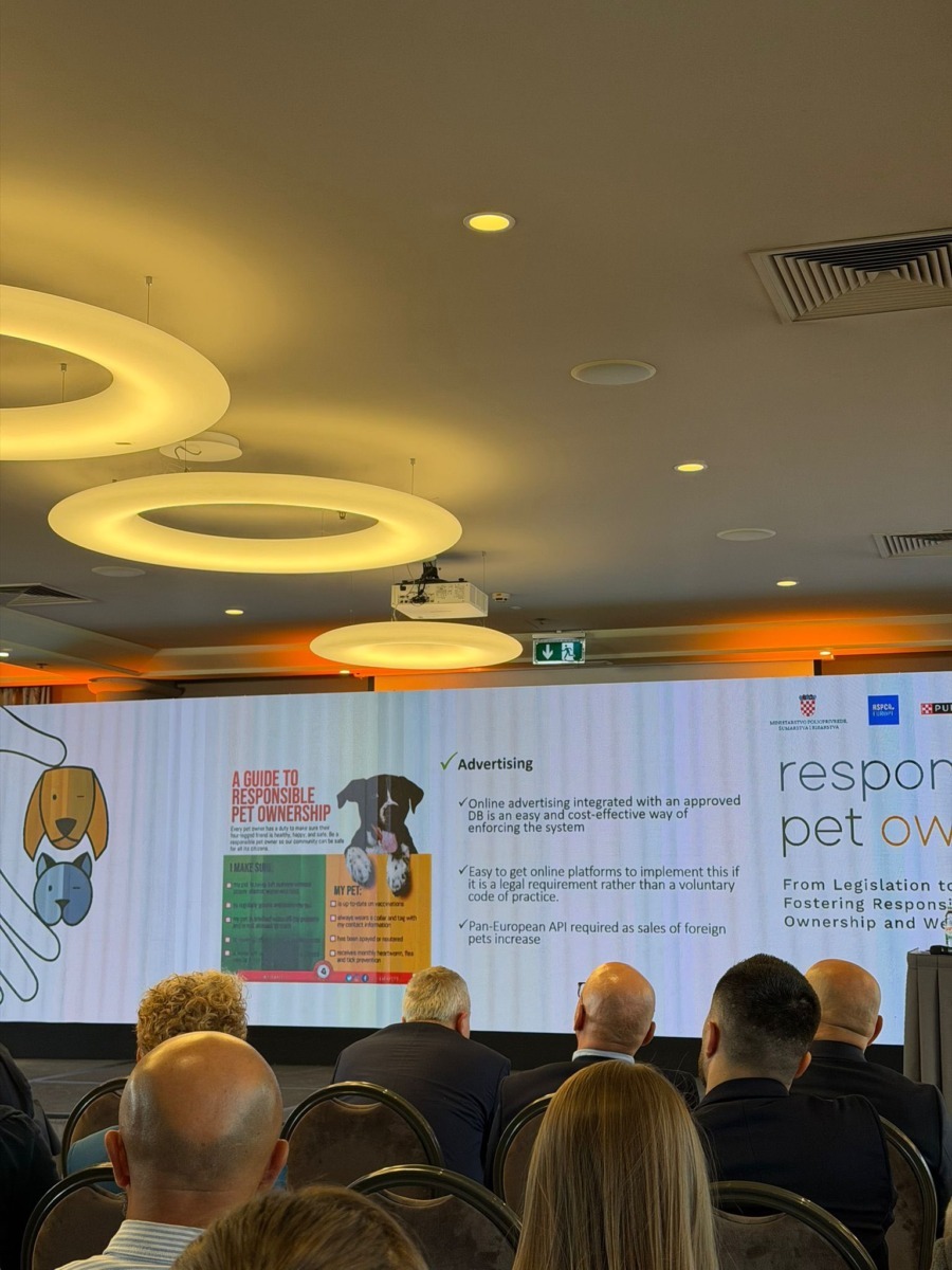 585466442_860730719656888_1349182026891733395_n