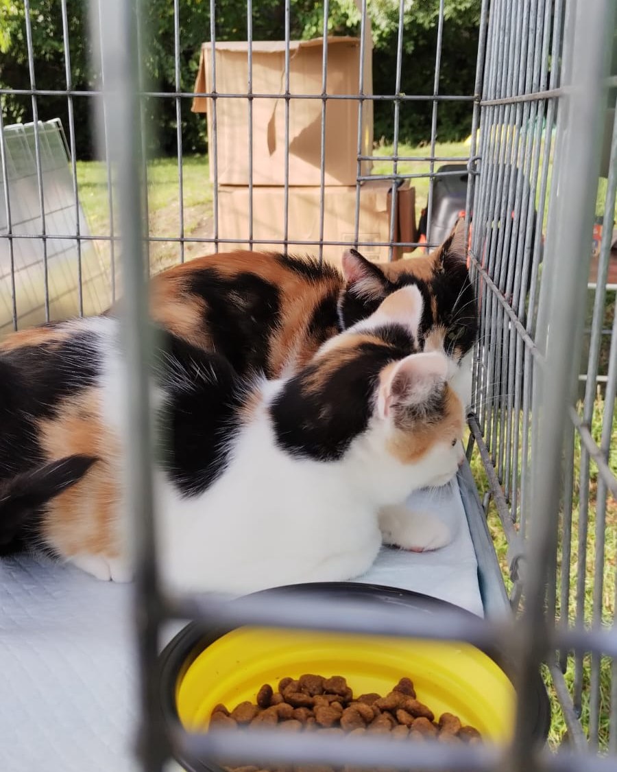 585558950_1183223270629475_1475074199525618948_n