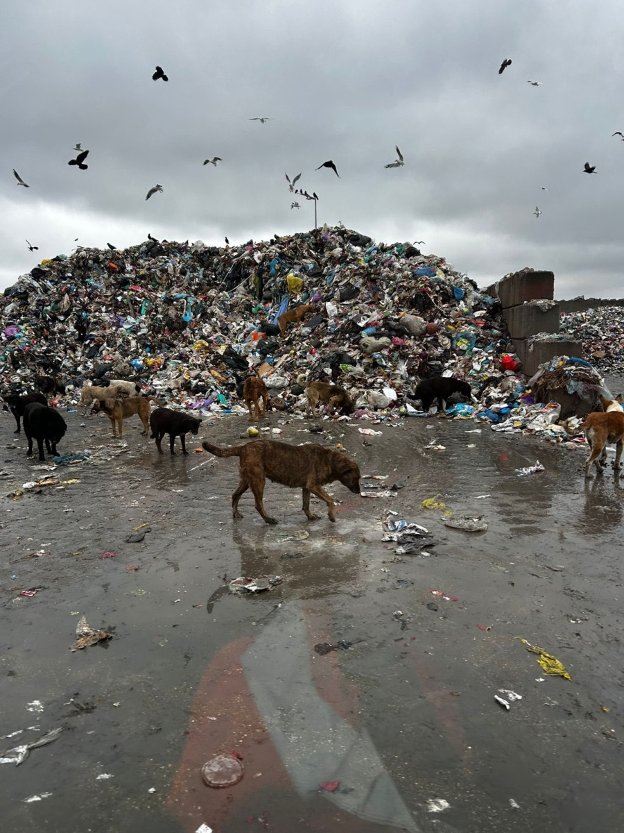 587234718_862619009468059_5723419737580764296_n