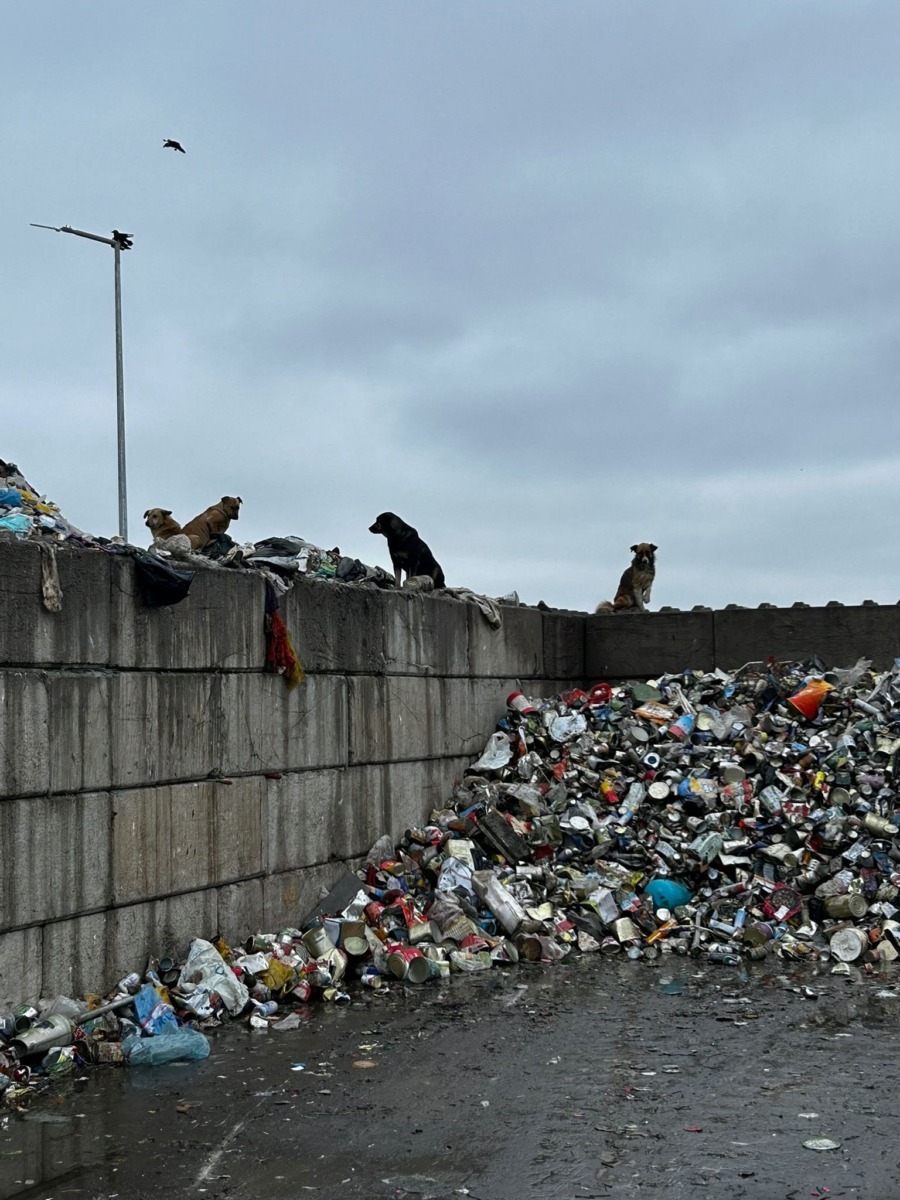 587319340_862619476134679_7366650708444144740_n