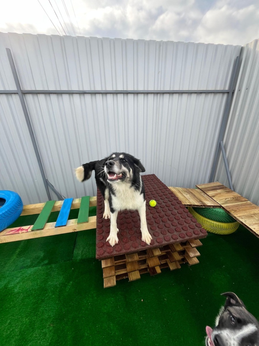 587359356_1190387709913031_6918978032838916934_n (1)