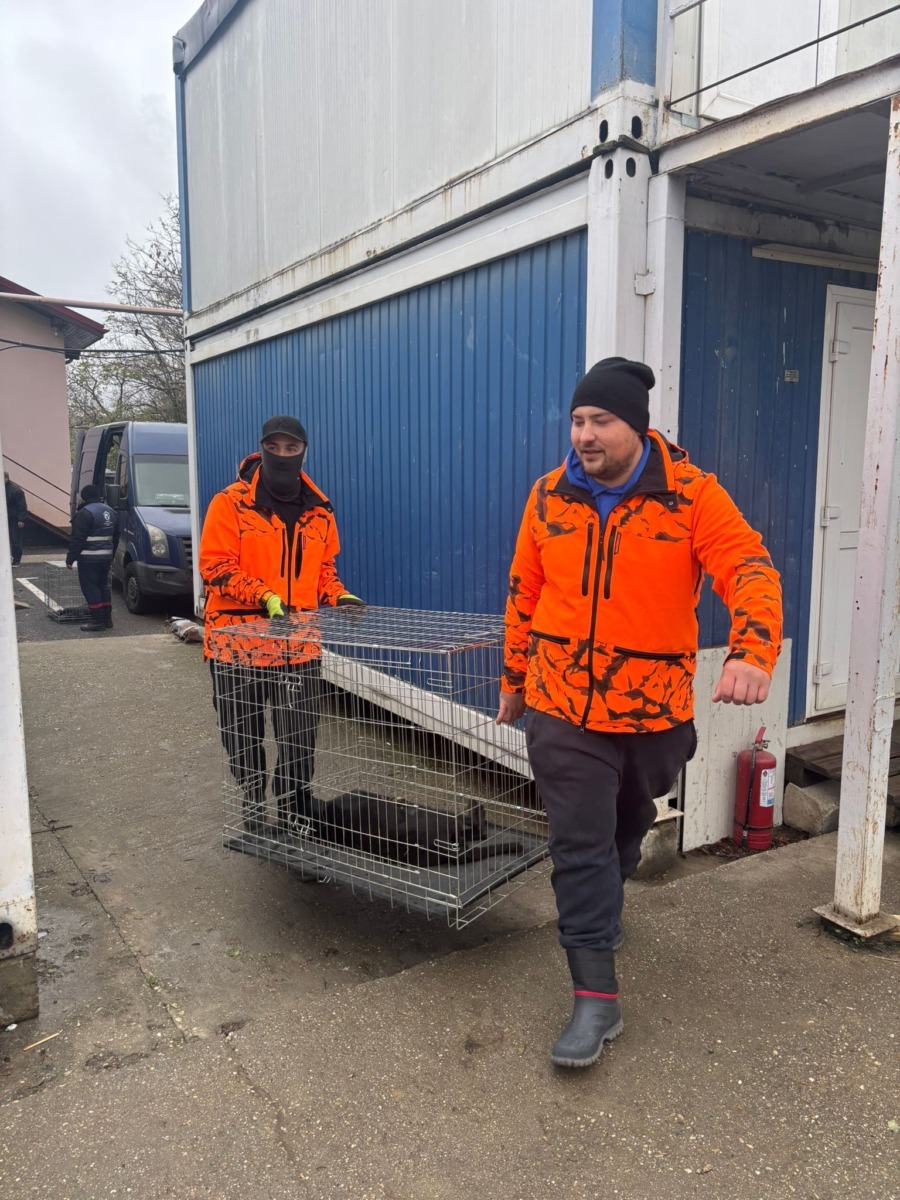 587468473_862619449468015_933941000515725173_n