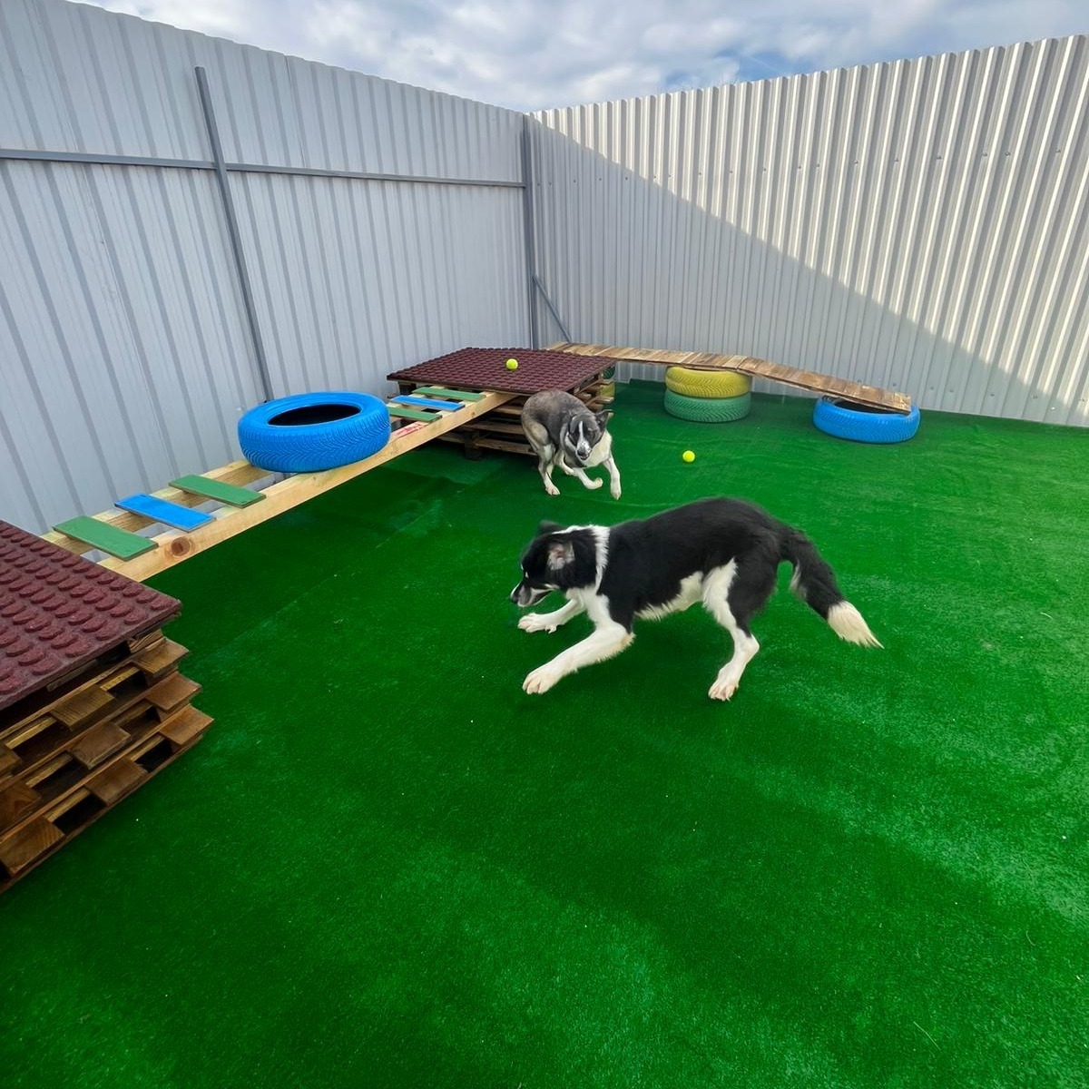 587484806_1190355343249601_8188453125271674913_n