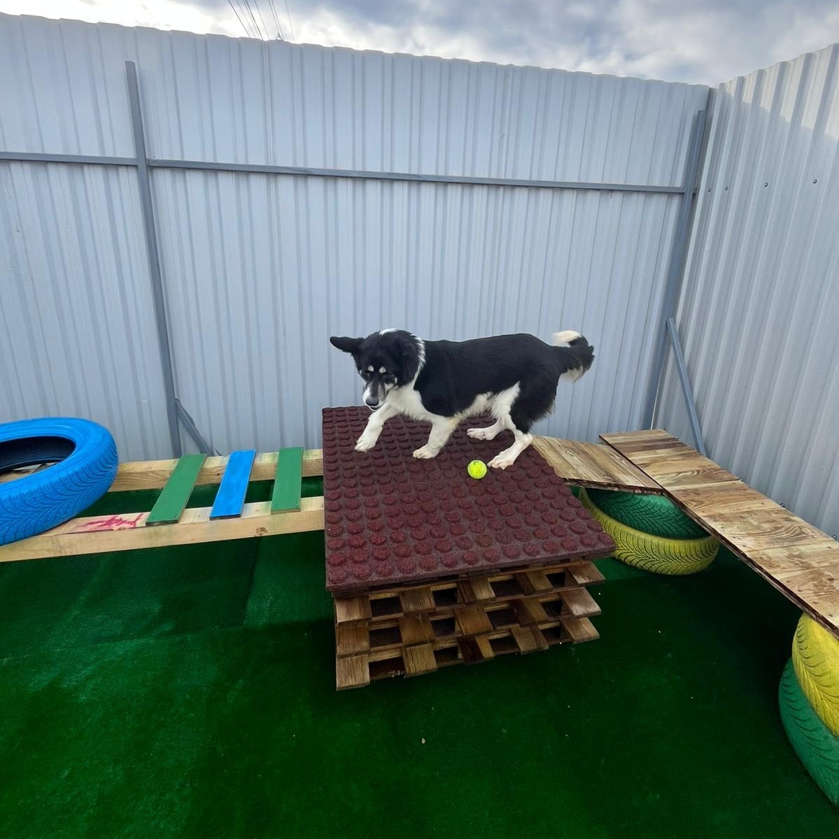 588067745_1190355779916224_1919346819898794885_n