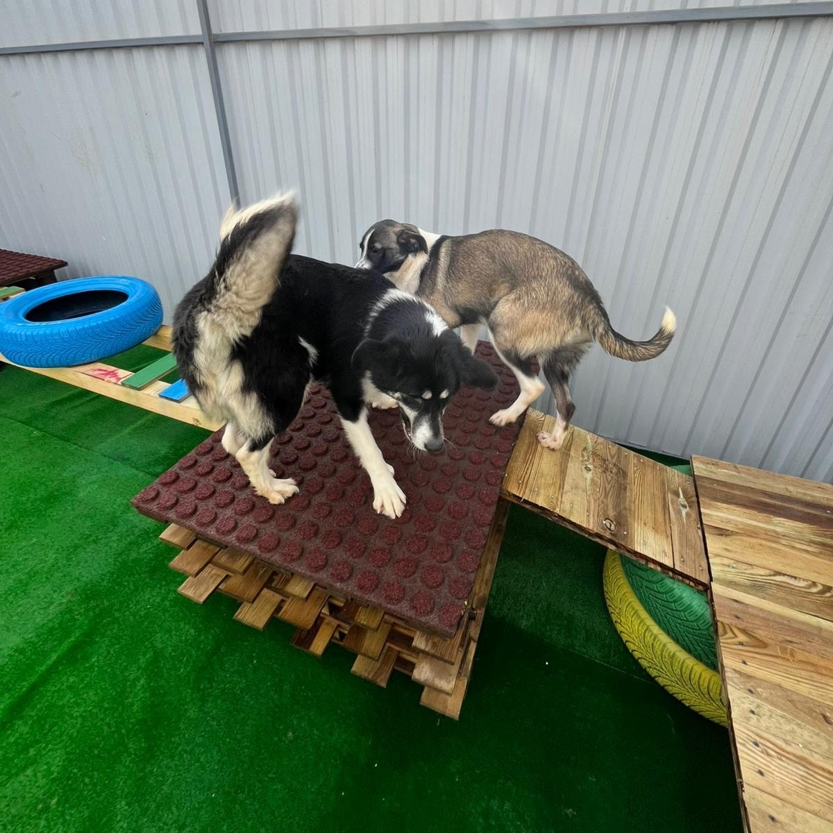 588317583_1190355569916245_2316044100557238231_n