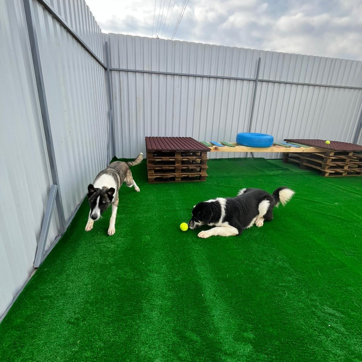 588440153_1190354776582991_6136820318787250365_n