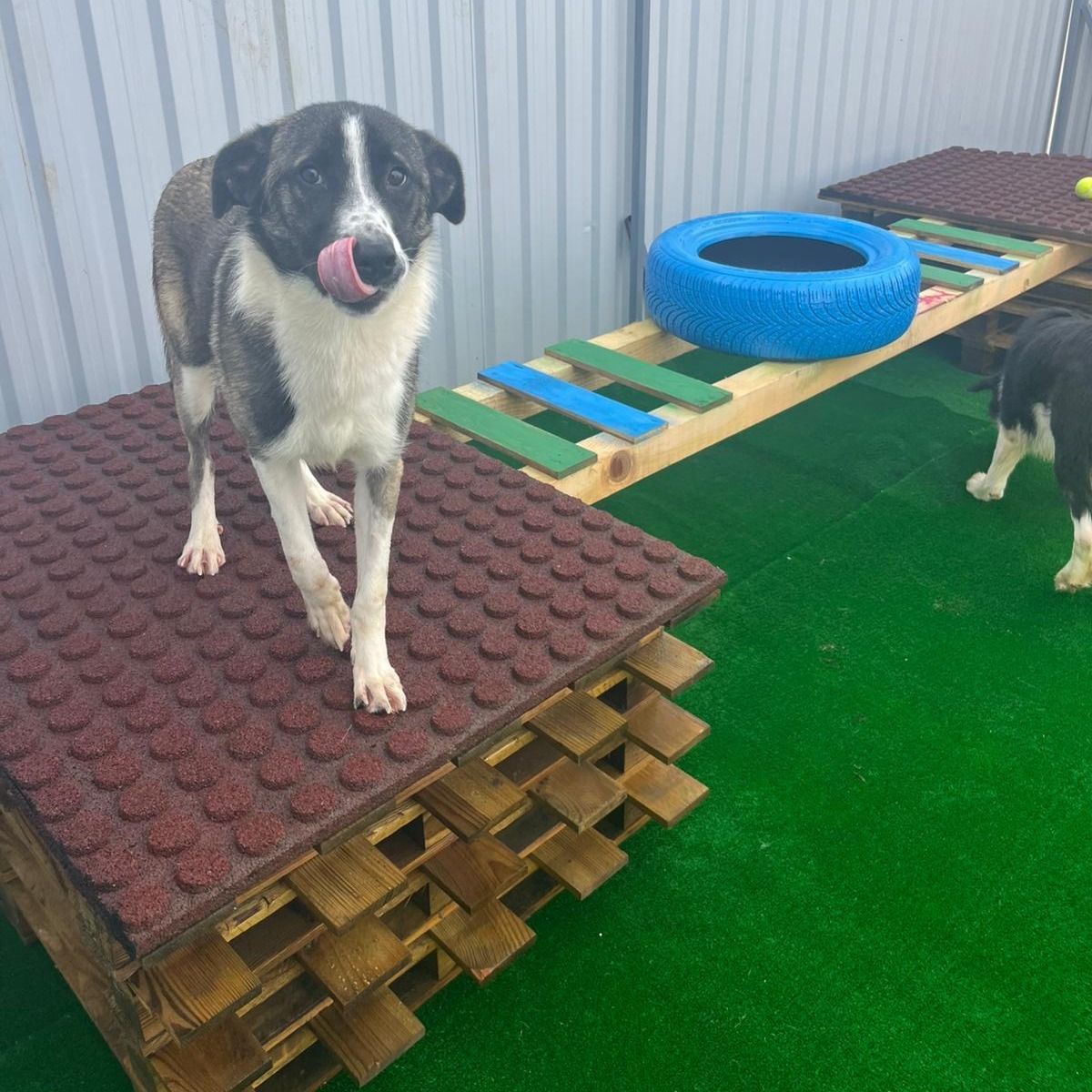 588728744_1190355129916289_9103984853931848268_n