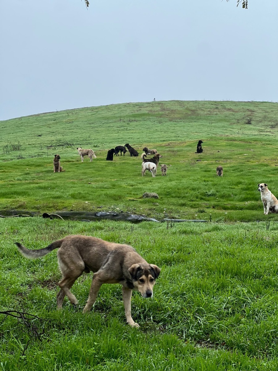 588746410_862619052801388_2742402645399057815_n