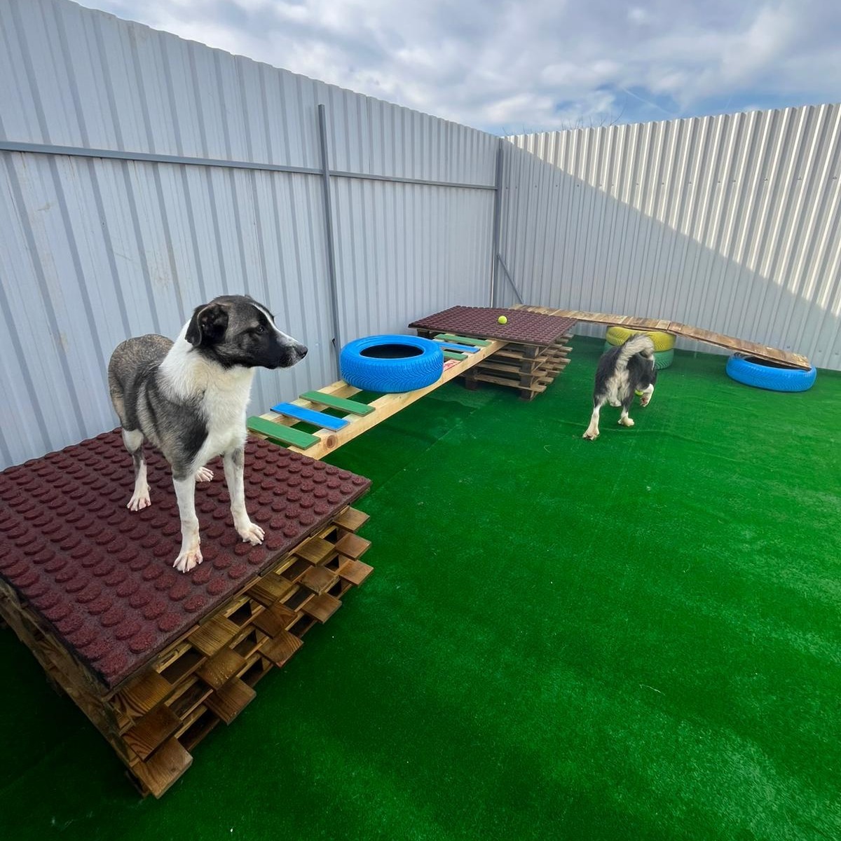 589076878_1190354923249643_6721260539113991657_n