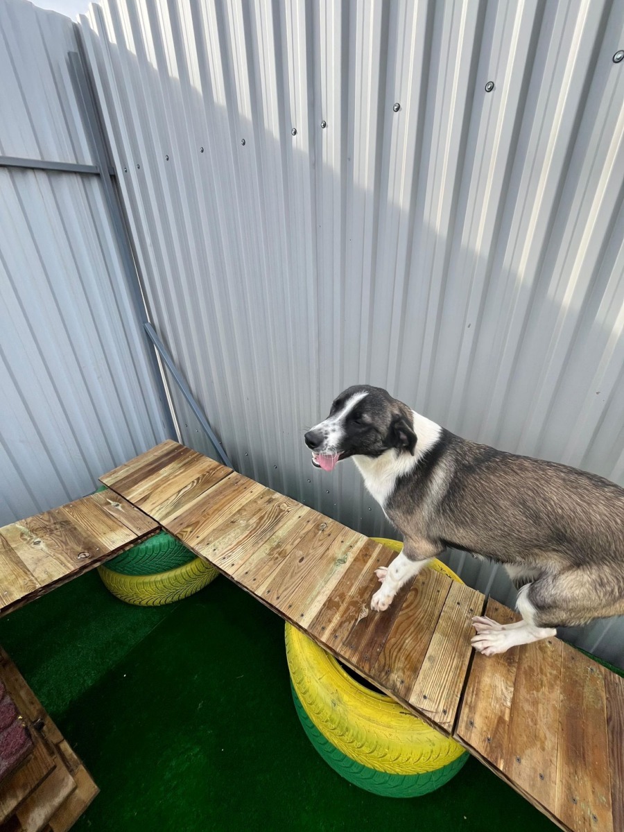 589766190_1190387713246364_4957316401251119793_n