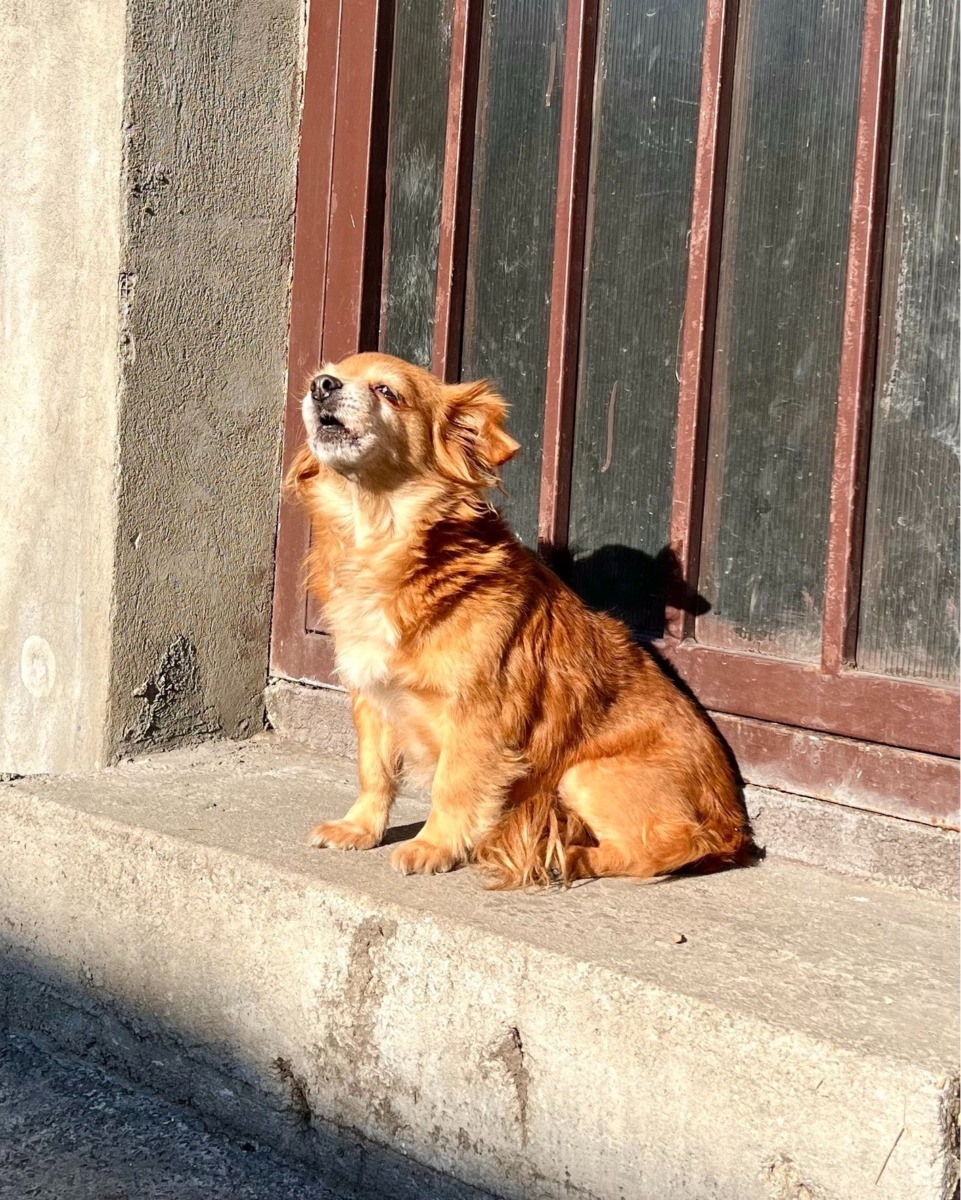 589937464_1190495726568896_6307039218405284731_n