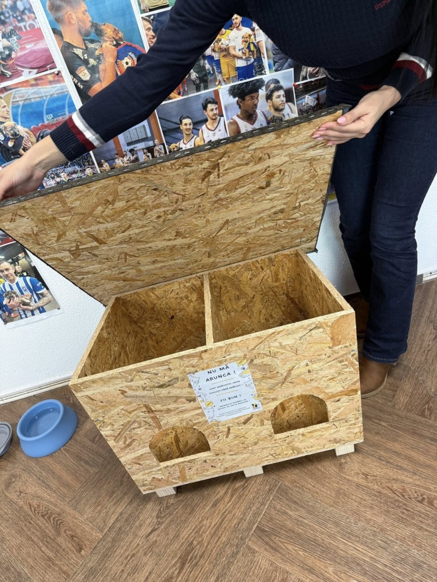 590135313_26099381739665263_1798240286081029430_n