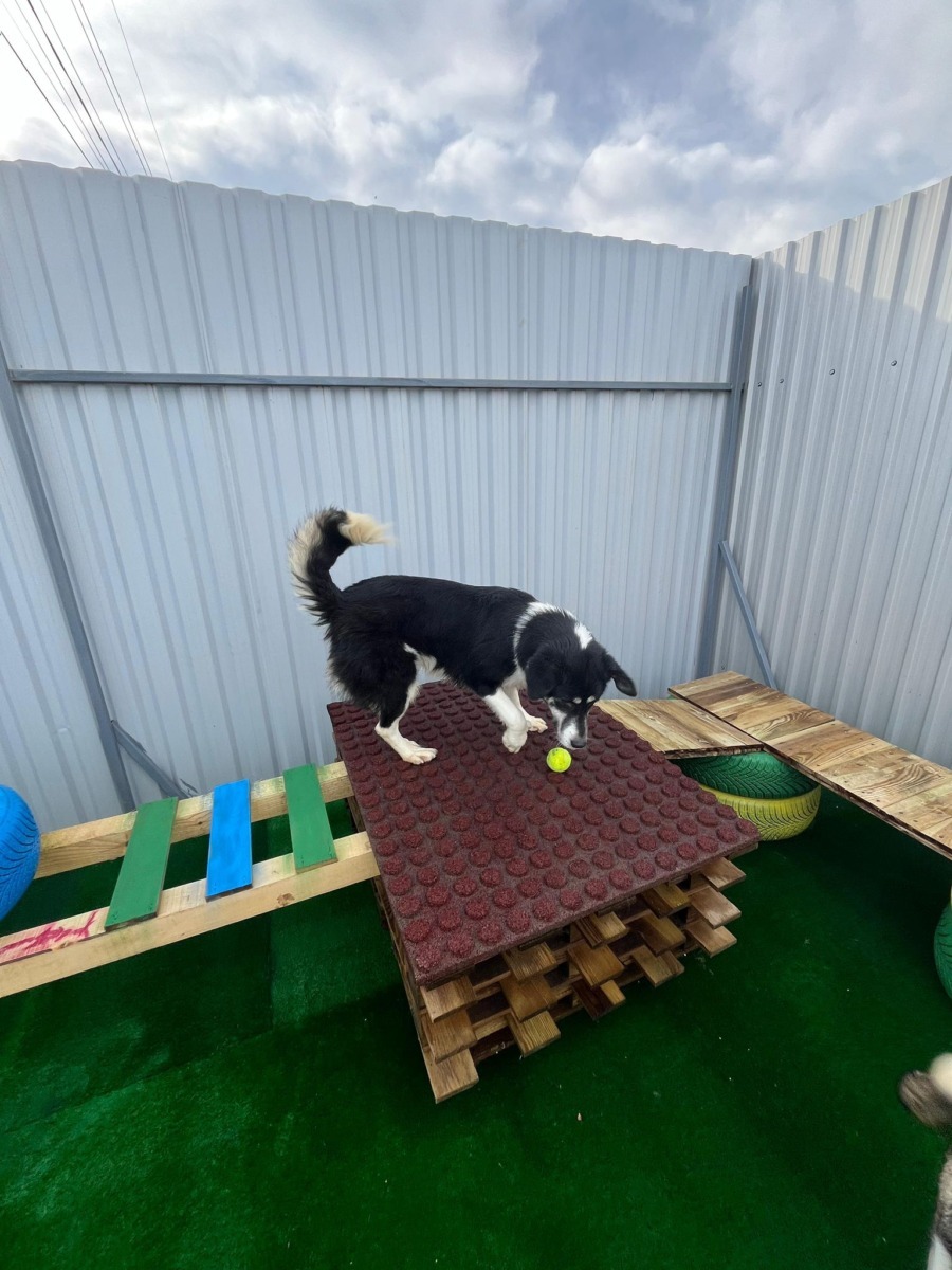 590342605_1190387706579698_8448920255679984117_n