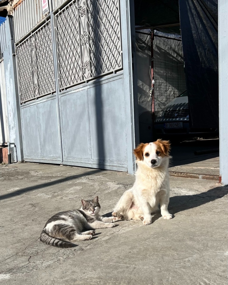 590975088_1190495693235566_3379290684893566_n