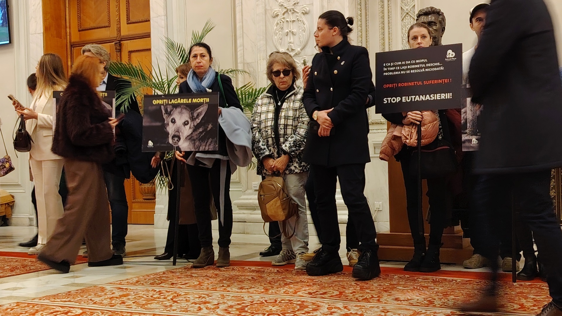 IMG_20251124_140521 - Copy