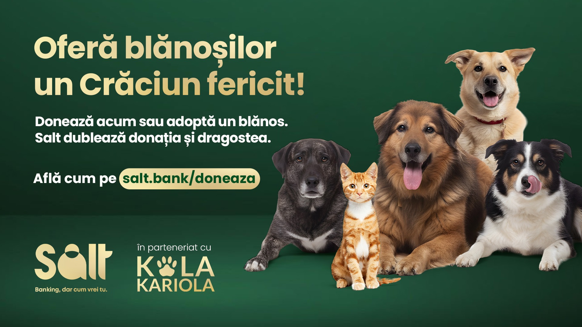 Afiș donații animale