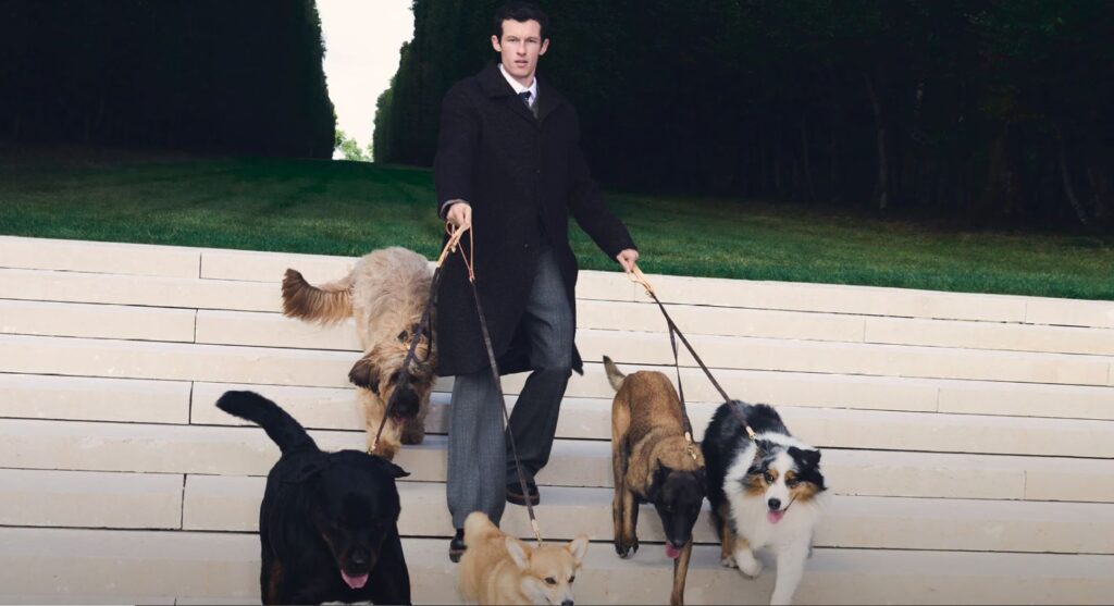 Colecția Louis Vuitton pentru câini