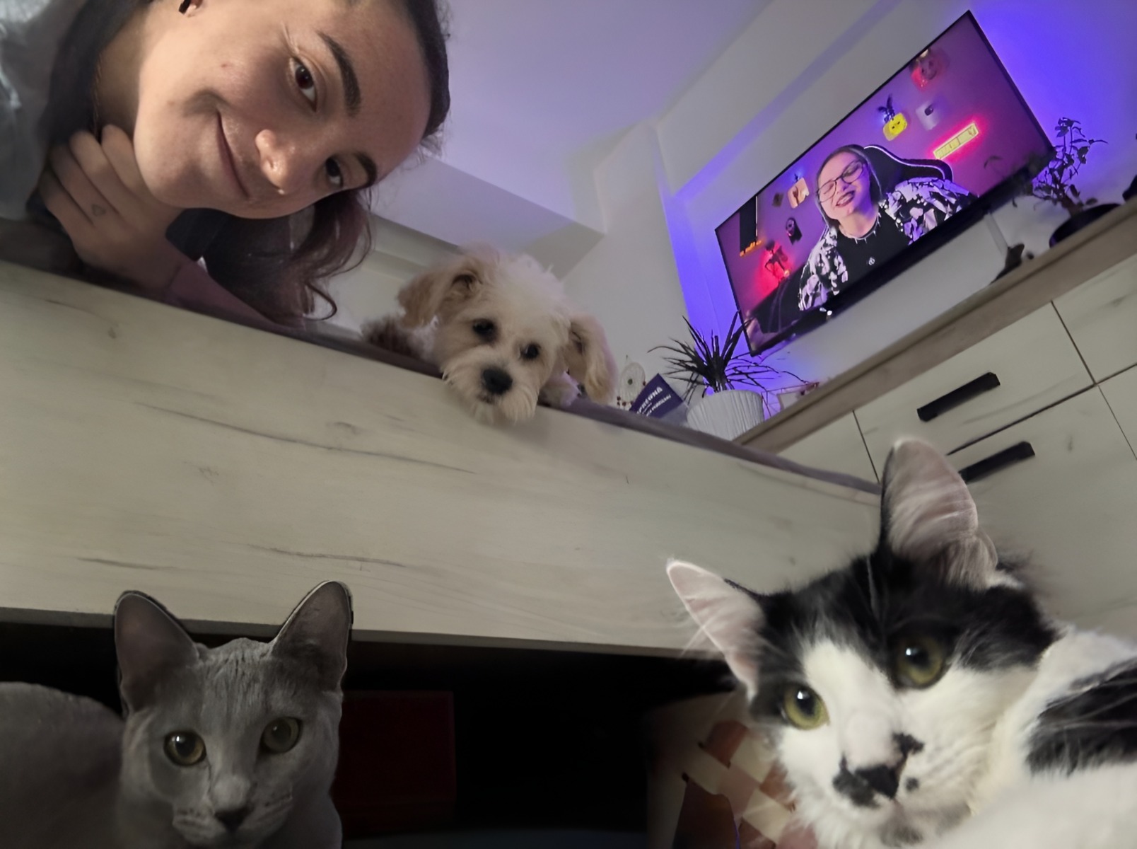 Mihaela-Elena Pripici alături de animalele ei de companie