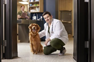 Medic veterinar alături de un câine, la întrarea în cabinet